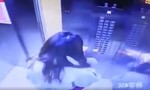 Clip cô gái nhanh trí thoát thân khi thang máy rơi tự do