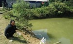 Lâm Đồng: Hai cháu bé chết đuối tại ao nước tưới rau