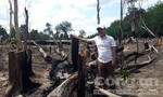 Khởi tố 3 vụ phá rừng ở vùng biên giới
