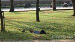 Người đàn ông mặc đồ bảo vệ chết trong công viên ở Sài Gòn