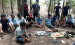 Đột kích trường gà trong rừng tràm ở Đồng Nai
