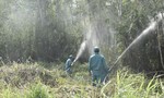 Căng mình chống cháy rừng ở Khu dự trữ sinh quyển thế giới U Minh Hạ