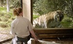 Hổ ở vườn thú New York được xác định nhiễm nCoV