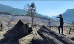 Khẩn trương điều tra vụ cháy rừng ở xã Mà Cooih