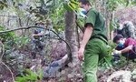 Phát hiện một người chết trong rừng, trên thi thể có vết bắn