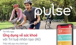 Prudential Việt Nam ra mắt ứng dụng “Pulse by Prudential”