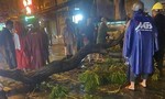 Cành cây gãy trong mưa đè người đi đường tử vong tại TP.HCM