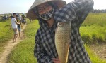 Hào hứng, sôi động lễ hội đánh bắt cá tại Hà Tĩnh