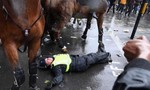 Clip nữ cảnh sát kỵ binh Anh ngã ngựa do người biểu tình tấn công