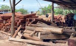 Tàng trữ hơn 2.000 hộp gỗ lậu, chủ doanh nghiệp bị khởi tố