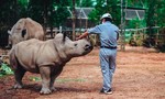 4 tê giác con chào đời trong vòng 16 tháng tại Vinpearl Safari
