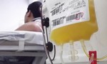 5 người nhiễm Covid-19 đã khỏi bệnh tình nguyện hiến huyết tương