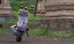 Clip cậu bé 9 tuổi luyện kung fu, trình diễn 'trồng chuối' bằng đầu