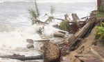 Bờ biển TP.Hội An tiếp tục sạt lở nghiêm trọng do bão số 5