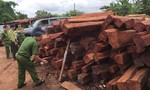 Bắt giam đối tượng bán gỗ lậu "khủng" cho Doanh nghiệp tư nhân Hùng Ny