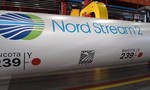 Vụ Navalny bị đầu độc: Nghi vấn nhằm cản trở đường ống khí đốt Nord Stream 2