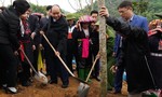 Thủ tướng ra Chỉ thị về trồng 1 tỷ cây xanh và bảo vệ rừng