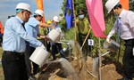 Phó Thủ tướng thường trực dự lễ phát động trồng 10 triệu cây xanh tại tỉnh Bến Tre