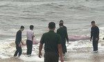 4 giờ giải cứu cá voi nặng 3 tấn dạt vào bờ biển