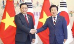 Ủng hộ nâng cấp quan hệ Việt Nam - Hàn Quốc lên đối tác chiến lược toàn diện