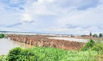 Dự án “lấn” sông Cổ Chiên: Huyện chuyển hồ sơ cho tỉnh xử lý
