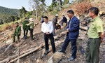 Tạm giữ 2 nghi can phá 3.600 m2 rừng phòng hộ ở Đà Lạt