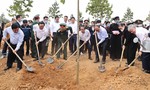 Phải gắn việc trồng và bảo vệ rừng với xây dựng nông thôn mới