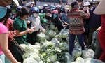 Hải Phòng: Không “ngăn sông cấm chợ”, gây khó cho hàng hóa từ Hải Dương