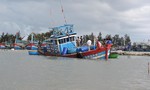 Gần 50 ngư dân Quảng Nam thoát nạn khi tàu câu mực bị chìm