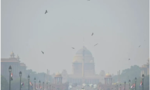 Ô nhiễm không khí khiến doanh nghiệp Ấn Độ thiệt hại 95 tỷ USD mỗi năm