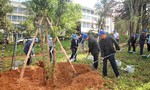 Novaland góp phần xây dựng tỉnh Lâm Đồng phát triển bền vững