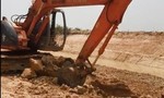 Nhiều vụ khai thác đất mặt, cát trái phép ở ĐBSCL