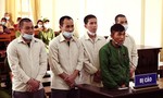 Lâm Đồng: Hơn 44 năm tù cho 5 bị cáo chuyên trộm lan đột biến