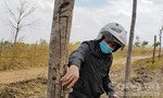 Gia Lai: Cao su "chết yểu" tại dự án chuyển đổi rừng nghèo