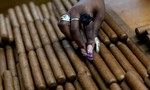 Trung Quốc trở thành thị trường tiêu thụ hàng đầu của xì gà Cuba