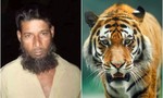 Cảnh sát bắt thợ săn nghi sát hại ít nhất 70 con hổ quý hiếm