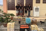 Bắt nhóm đối tượng gây ra ít nhất 14 vụ trộm trên địa bàn tỉnh Quảng Bình