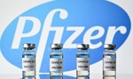 Pfizer sẽ cung ứng cho Việt Nam 20 triệu liều vaccine trẻ em vào quý IV/2021