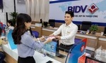 BIDV miễn phí sử dụng phần mềm chuyển đổi số cho HKD chuyển thành doanh nghiệp