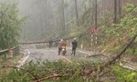 Lâm Đồng: Mưa đá, lốc xoáy gây thiệt hại nghiêm trọng