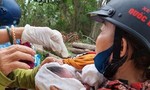 Thừa Thiên – Huế: Bé trai sơ sinh bị bỏ rơi trước nhà nghỉ
