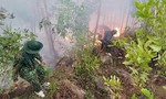Đốt vàng mã làm cháy gần 15ha rừng tại Bình Định