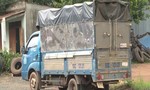 Phát hiện 7 người trốn trong thùng xe tải vượt chốt kiểm dịch