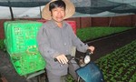 Đề nghị truy tố cựu phóng viên Nguyễn Hoài Nam