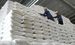 Gần 2.200 tỷ đồng mua bù 172.889 tấn gạo dự trữ quốc gia hỗ trợ người dân