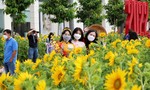 Hội hoa xuân Phú Mỹ Hưng Tết Nhâm Dần 2022: "Xuân An Vui"