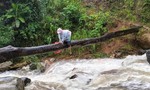 Quảng Nam: Thót tim cô giáo vùng cao bám cây vượt suối chảy xiết