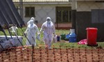 Uganda phong toả nhiều địa phương để ngăn dịch Ebola