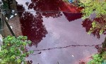 Mưa gây ngập, 2 con đường ở TPHCM xuất hiện nước màu đỏ sẫm