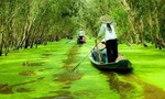 TPHCM và Đồng bằng sông Cửu Long: Cùng nắm bắt cơ hội phát triển du lịch